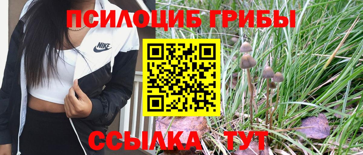 Псилоцибиновые грибы мухоморы Красногорск
