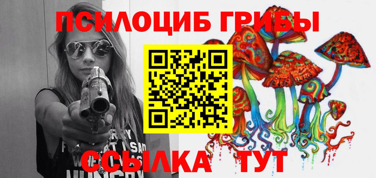 Красногорск  Псилоцибиновые грибы мицелий  Вход с VPN  Псилоцибиновые грибы MAGIC MUSHROOMS 